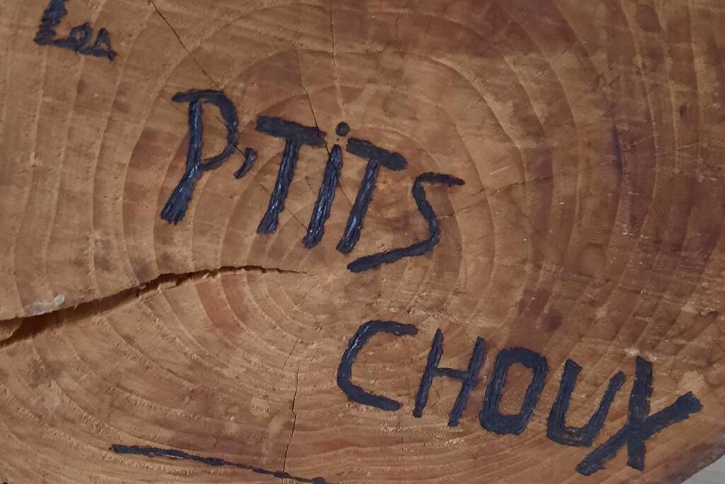 Gite Les Ptits Choux Saint-Quentin-Lamotte-Croix-au-Bailly Bagian luar foto
